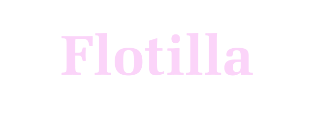 Flotilla_main.png?w=640